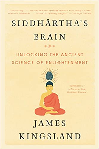 Siddhartha's Brain Audiobook
